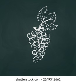 Grapes thin white lines on a textural dark background - Vector illustration