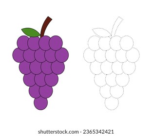 Uvas. Rastreo y color para niños, página o libro de colorantes, ilustración vectorial de uvas. Fondo blanco aislado.