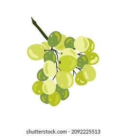 Grapes. Tropical fruit and graphic design elements. Ingredients color cliparts. Sketch style smoothie or juice ingredients.