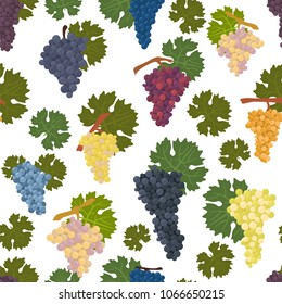 Grapes varieties for wine seamless pattern. Vector illustration