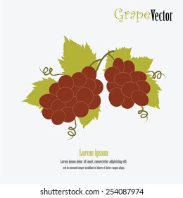 Grapes. Vector . Bunch of red grapes . Vector illustration.