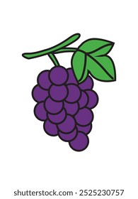 Ilustrador de diseño de Vector de uvas. Manojo de uvas moradas y hoja. Ilustración vectorial aislada sobre fondo blanco.