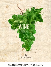 Grapes. Vector format