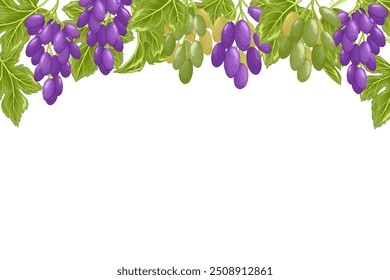 Grapes vector frame. Illustration of bunch of purple, white grapes with leaves. Horizontal border template for restaurants, menu, wine list, harvest festival. White background. Clipping mask