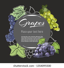 grapes vector hand drawn healthy food illustration. Fruit design with sketch elements for banner, greeting card	