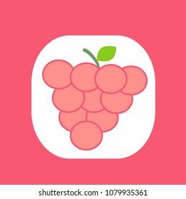 grapes vector icon