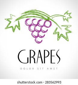 Grapes. Vector illustration.