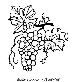 Grapes vector illustration. Doodle style. Design icon, print, logo, poster, symbol, decor, textile, paper, card. 