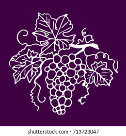 Grapes vector illustration. Doodle style. Design icon, print, logo, poster, symbol, decor, textile, paper, card. 