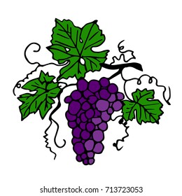 Grapes vector illustration. Doodle style. Design icon, print, logo, poster, symbol, decor, textile, paper, card. 