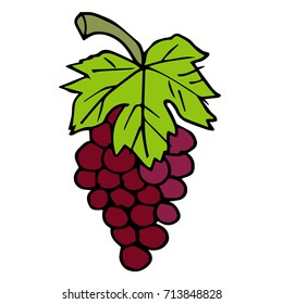 Grapes vector illustration. Doodle style. Design icon, print, logo, poster, symbol, decor, textile, paper, card. 