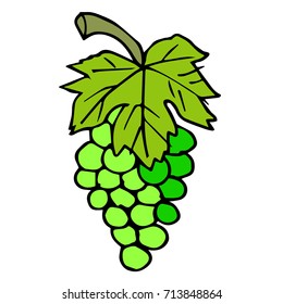 Grapes vector illustration. Doodle style. Design icon, print, logo, poster, symbol, decor, textile, paper, card. 
