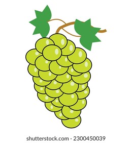 ilustración vectorial de uvas verdes