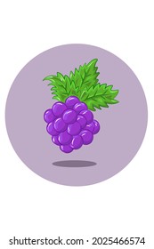 Grapes vector illustration hand drawing 
