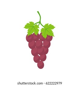 Grapes vector illustration icon flat design. Isolated on white background. A grape of fresh ripe with a green leaf.
