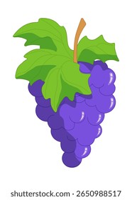 Grapes. Vector illustration on a white background for children's entertainment, activity book, worksheet.