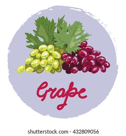 Grapes vector illustration , sticker template element
