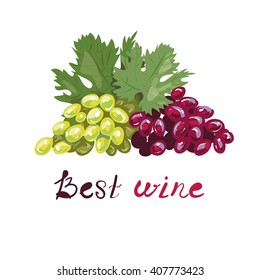 Grapes vector illustration, template for wine. Best wine, sticker.