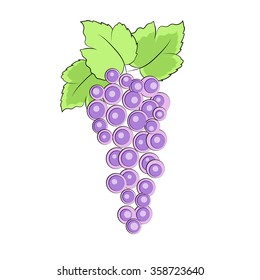 Grapes vector isolated. Grapes with green leaf isolated. 