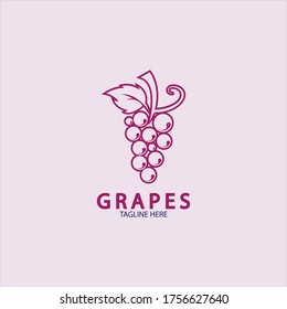Grapes Vector Logo Icon isolated. Organic Wine branding template. Nature Grapes Logotype