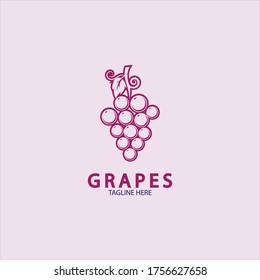 Grapes Vector Logo Icon isolated. Organic Wine branding template. Nature Grapes Logotype