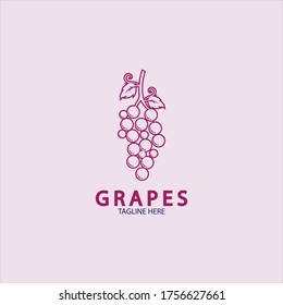 Grapes Vector Logo Icon isolated. Organic Wine branding template. Nature Grapes Logotype