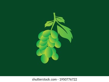 Plantilla de icono del logotipo del vector de uvas aislada.
Logotipo de línea de uvas naturales