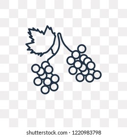 Grapes vector outline icon isolated on transparent background, high quality linear Grapes transparency concept can be used web and mobile