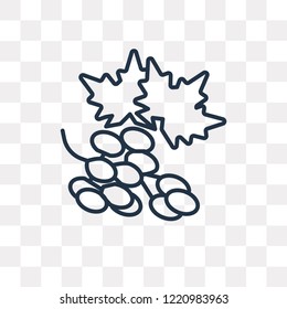 Grapes vector outline icon isolated on transparent background, high quality linear Grapes transparency concept can be used web and mobile