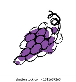 Grapes, vector in outline style. Natural organic ingredients, food for vegetarians and vegans menu. Design element, logo, print, sticker.