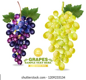 Grapes Vector realistic isolated bunch 3d detailed illustrations
