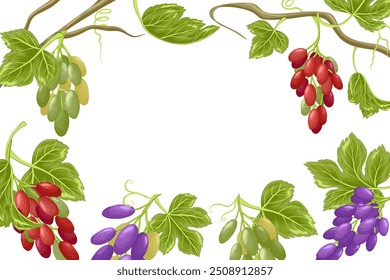 Marco cuadrado de Vector de uvas. Dibujado a mano ilustración de racimo de uvas con hojas. Plantilla fronteriza para restaurantes, menú, carta de vinos y Anuncios de vinificación. El fondo blanco. Máscara de recorte.