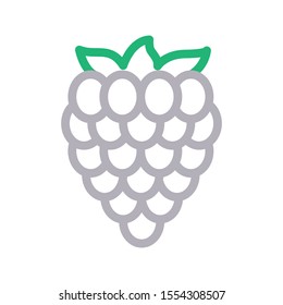 grapes vector thin line icon