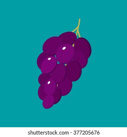 Grapes. Vector grapes in trendy flat style. Vector concept. Isolated object.