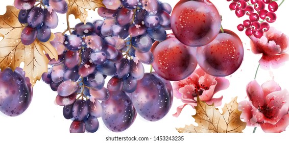 Grapes vector watercolor card. Autumn fall background. juicy harvest. painted style illustration