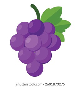 Grapes vector in white background