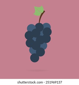 Grapes, vine, fruit, vector icon slim design.