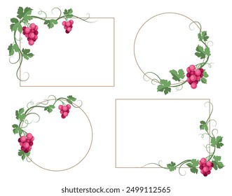 Grapes. Vintage design elements with grape leaves, vine and berries. Background and frames template for autumn festival and harvest, wine production and tasting. Vector illustration