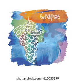 Grapes. Watercolor