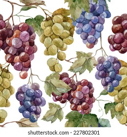 grapes, watercolor, pattern