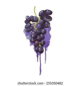 Grapes in a watercolor style with purple watercolor splashes. Juicy, bright blob. Vector.