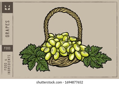 Uvas en cesta de mimbre Ilustración vectorial - Dibujo manual