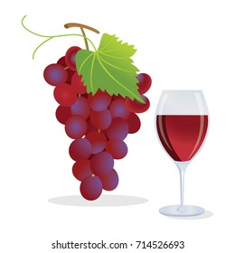 Grapes and wine