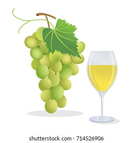Grapes and wine