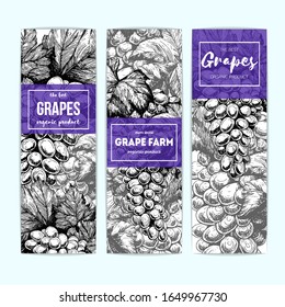 Grapes for wine. Banner collection. Sketch design template. Package for wine. Hand drawn vector illustration. Wine shop and grapes farm design.