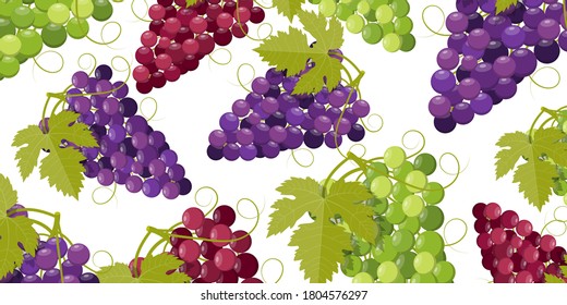 Grapes Wine Cover background Concept illustration Vector