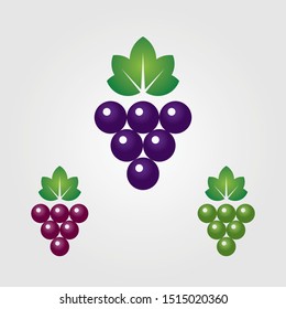 Grapes wine fruit logo vector symbols with purple, red, green colors