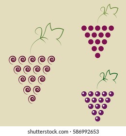 Grapes wine or grapes vine. Grapes with green leaf isolated. Fruits and vegetables icons - vector
