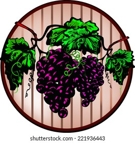 Grapes and winery