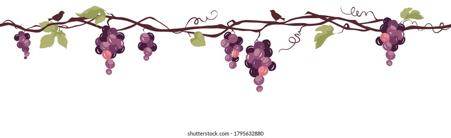 Grapevine with birds / Seamless vector illustration, narrow background, floral design element	